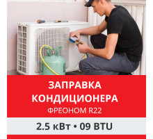 Заправка кондиционера Funai фреоном R22 до 2.5 кВт (09 BTU)
